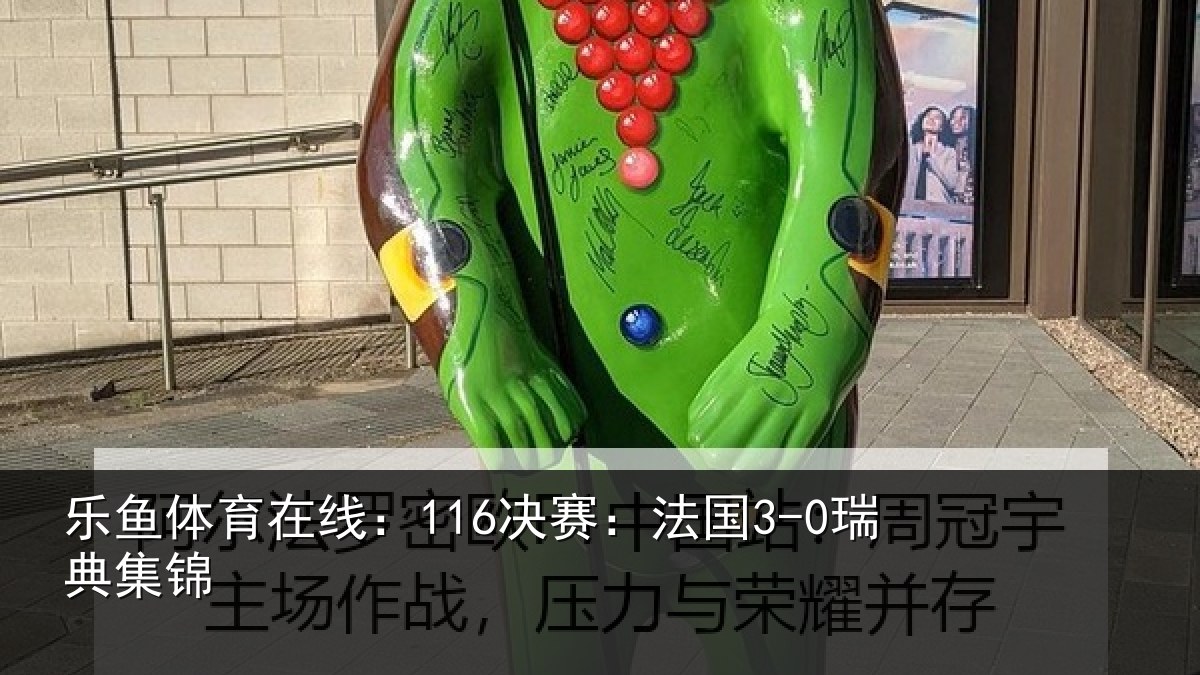 乐鱼体育在线：116决赛：法国3-0瑞典集锦